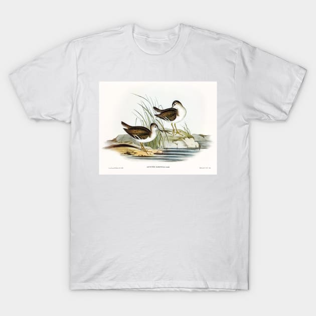 Fairy Sandpiper T-Shirt by WAITE-SMITH VINTAGE ART